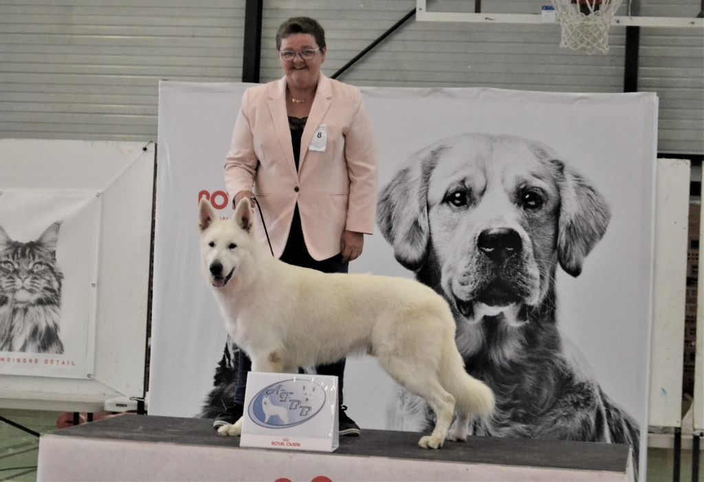 Raphael Hiegel - Oro Bianco DGDL